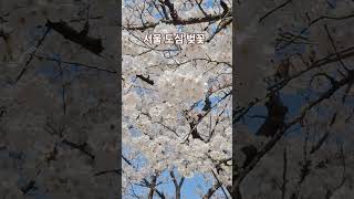 전쟁기념관 전사자명비 영상