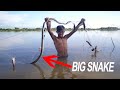 Wow! Catch fish and snake using cast net - Catch a lot fish