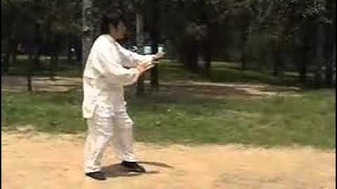 Xu Shixi Chen Style Taiji First Form, Level 4 Applying Force