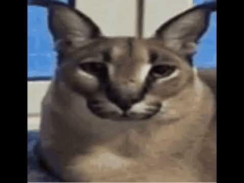 Cat's Eyes Scan Vf Big Floppa Disappears (Very Sad) (Very Scary) - YouTube