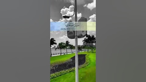 تلاوة مريحة للقلب ارح سمعك وقلبك / حالات واتس اب دينية