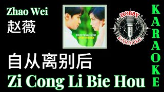 Zi Cong Li Bie Hou Karaoke 自从离别后 • Vicky Zhao Wei 赵薇