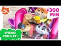 44 Gatti | 300 MINUTI di episodi completi!
