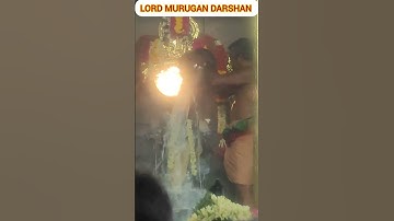 Lord Murugan Darshan #murugan_whatsapp_status #lordmuruganwhatsappstatus #murugantemple #murugan