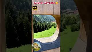 Ayder Yaylası 4K Ultra Güzelliği 🌲❄️ Resimi