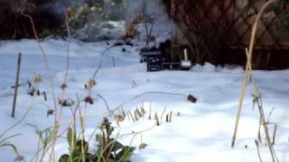 Ruby In The Snow 2009