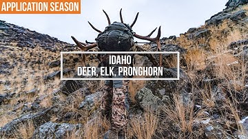 How to Apply For Deer, Elk, and Pronghorn in IDAHO