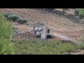 Paraje de Burete desde una atalaya