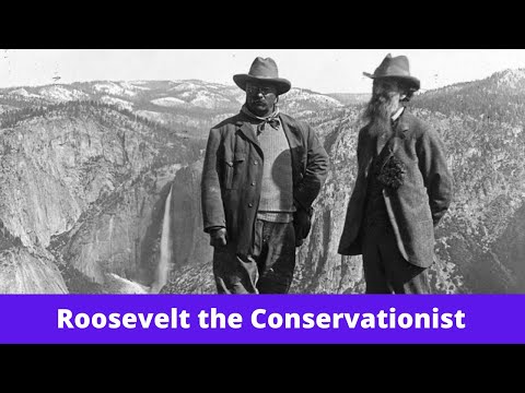 Vídeo: Teddy Roosevelt era un conservacionista?