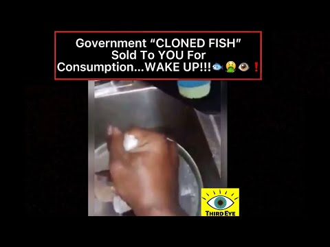 Government CLONED FISH Sold To YOU For Consumption WAKE UP 