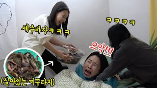 SUB) 게으른 동생 미꾸라지 모닝콜로 참교육해줌ㅋㅋㅋㅋ(feat.돼지공룡) 레전드리액션 나옴ㅋㅋㅋㅋㅋㅋㅋ