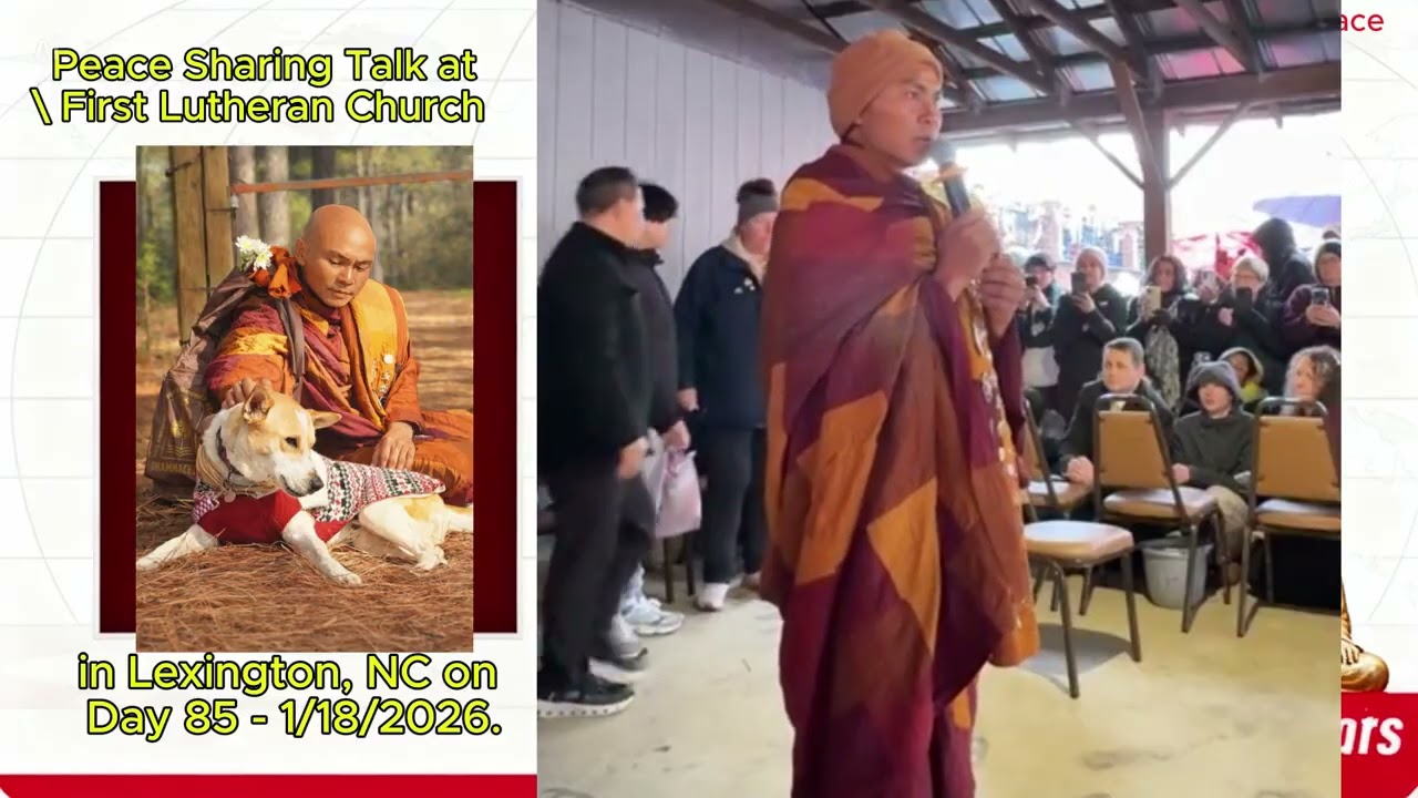 Day 85 Part 2 | Mindfulness in the Rain, Gratitude, and the Path to Peace