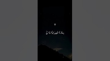 تلاوة خاشعة ومعبّرة بصوت ماهر المعيقلي ارح سمعك ♡♡♡