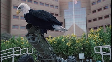 Join the SA Market Beneficiary Text Service Today!