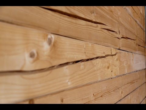 Жопа из бруса / Ass of timber / мастера по срубам из средней азии стоят много и быстро