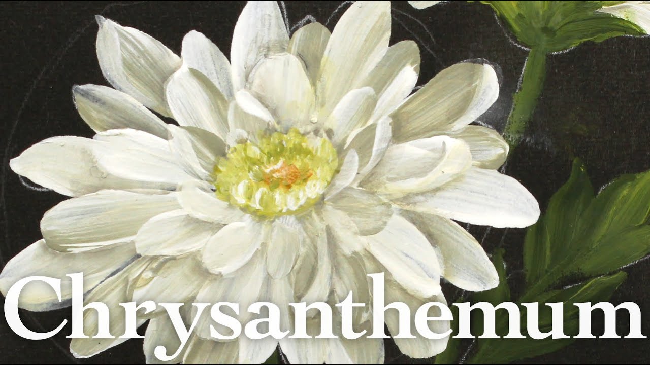 Chrysanthemum painting with acrylic | White (12 Minutes)