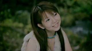 たんぽぽを歌った名曲。おすすめの人気曲