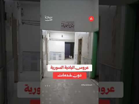 تدمر من دون خدمات