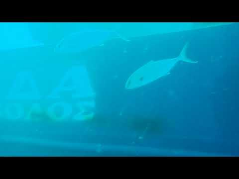 New Wreck in