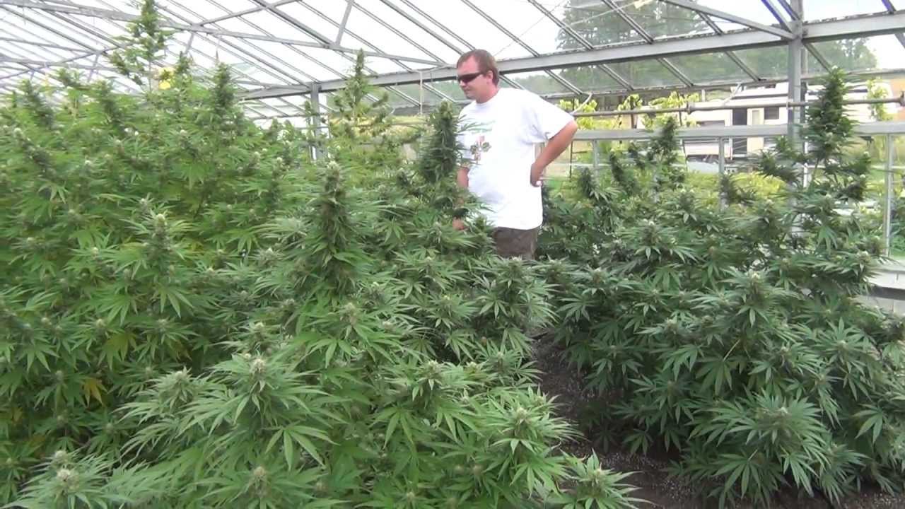 Niagara Seed Bank virtual tour Sep 26  2012 part1