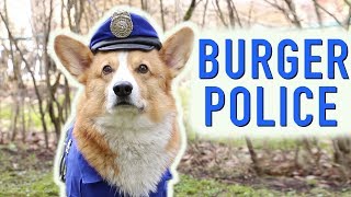 THE GREATEST POLICE Topi the Corgi