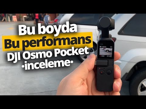 Video: Komodin: modellerin incelemesi, fotoğraf