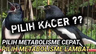 WHICH IS EASY: TREATMENT OF FAST METABOLISM OR TREATMENT OF SLOW METABOLISM