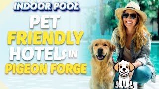 Pet Friendly Hotels in Pigeon Forge Tn With Indoor Pool
