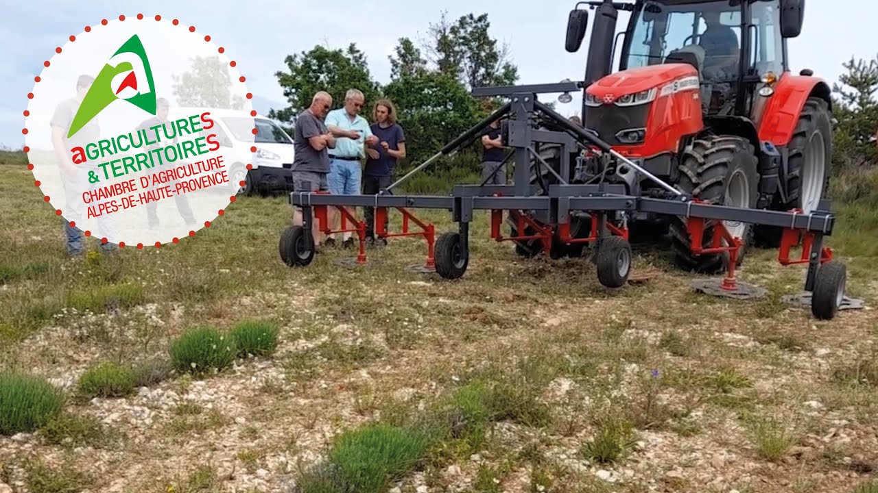 Les matériels de désherbage en PPAM Bio : La bineuse Ferotin