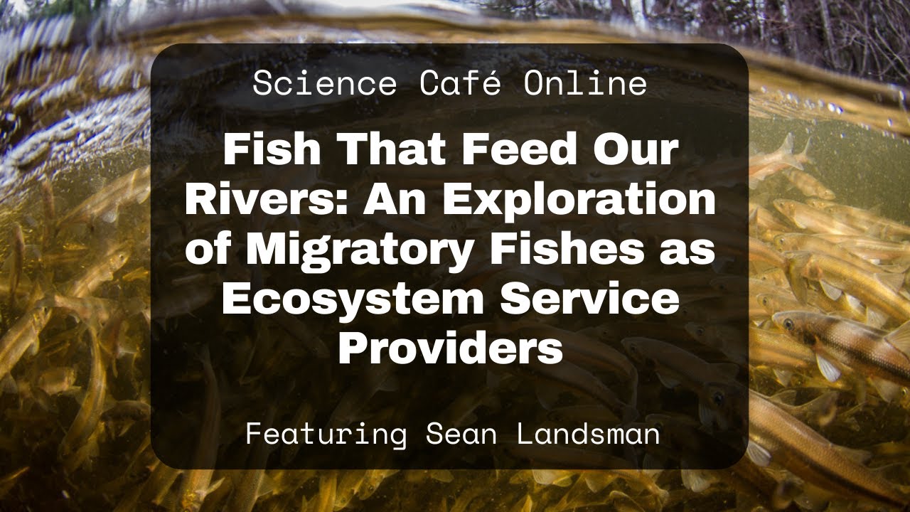 Science Café - Fish That Feed Our Rivers: Migratory Fishes as Ecosystem Service Providers
