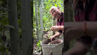 My guide quick easy no fuss guide on caring for dahlia tubers over the winter #gardenerben