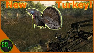 Hunting for the New Turkey!! TheHunter 2020