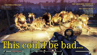 FO76: 15 Anglers 1 Shotgun