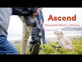 Ascend  wearable robotic knee orthosis for improved mobility and knee pain relief