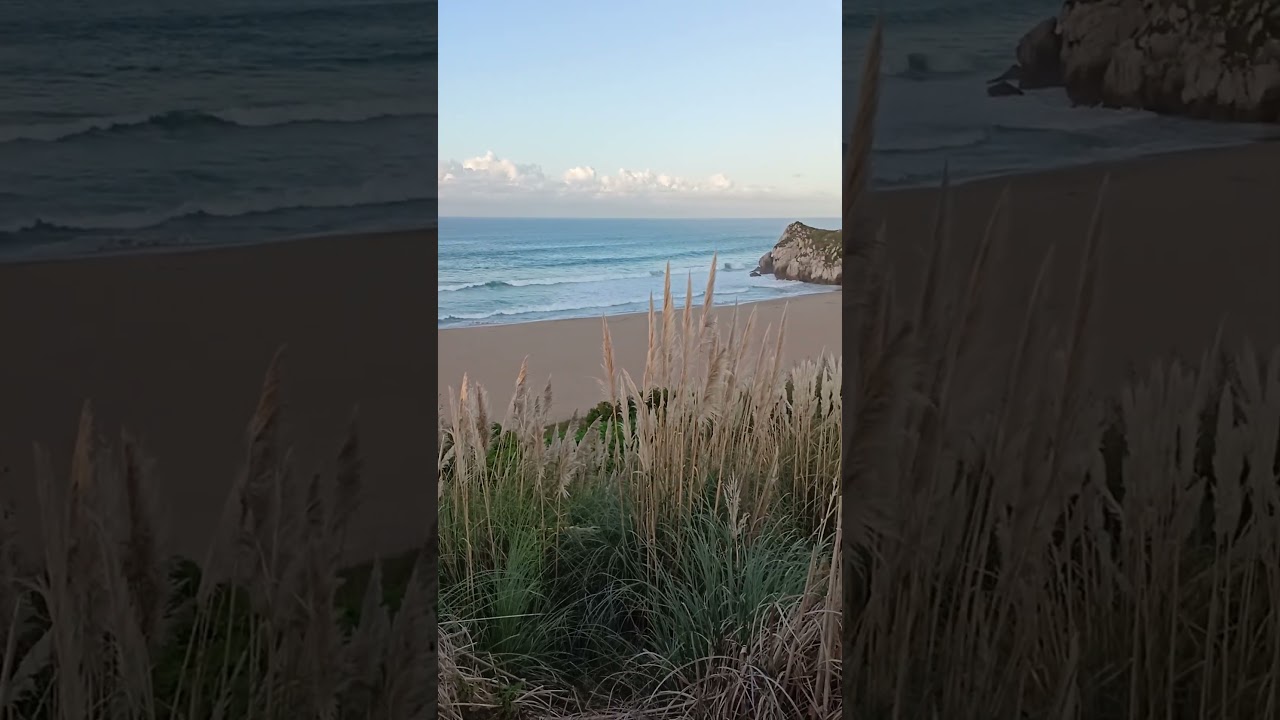 Por la costa de Miengo 🌾 (Cantabria) #shorts  #cantabria