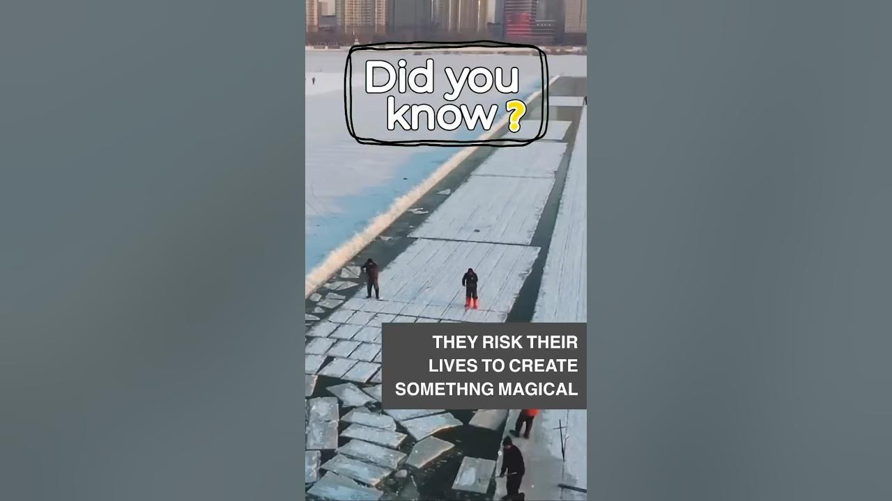 They risk their lives to create something magical! They risk their lives to create something magical!