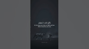 القرآن الكريم – فَٱتَّقُوا۟ ٱللَّهَ مَا ٱسْتَطَعْتُمْ | بصوت بدر التركي – سورة التغابن ١٦