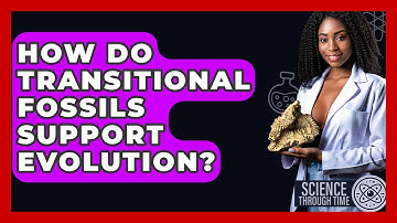 How Do Transitional Fossils Support Evolution? - Science Through Time
