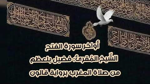 محمّد رسول الله أواخر سورة الفتح | من صلاة المغرب |رواية قالون عن نافع | الشيخ المقرئ: فضيل بلعظم