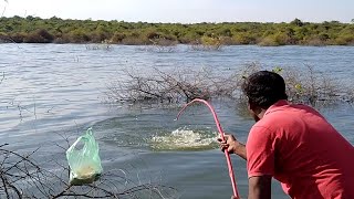 Unique Fishing||Big Rohu fish black rohu fish catching river fish hunting 🎣🐟🐟🐬