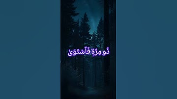 ارح سمعك سورة النجم بصوت القارئ الشيخ ياسر الدوسري