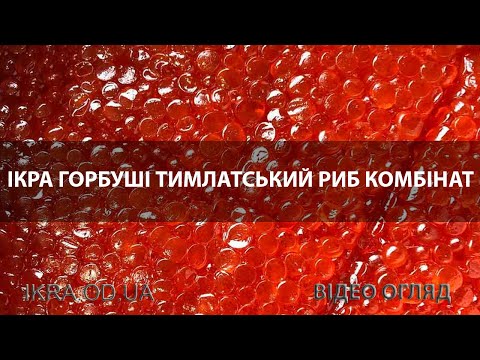 Красная икра горбуши Тымлатского рыбного комбината - видео обзор от икра.od.ua - такую икру выгодно продавать своим клиентам