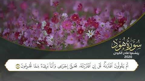 سورة هود كاملة ، القارئ بيشةوا قادر الكردي