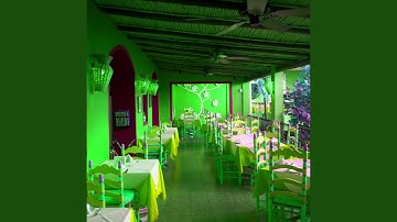 Alluring Backdrops for Mellow Pictures