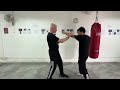 Wsl ving tsun kuen hok  breaking it down 45  the siu nim tau form in detail pt9