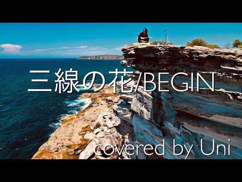 三線の花/BEGIN cover Uni
