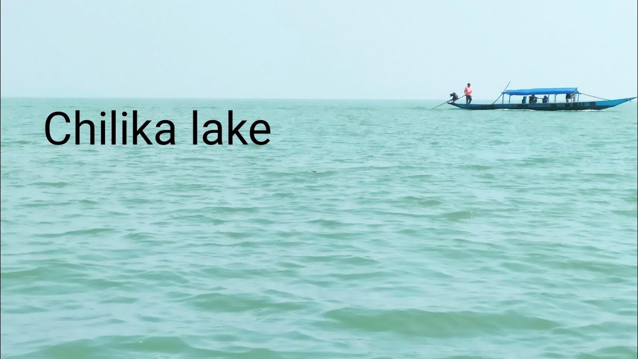 chilika trip