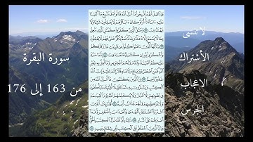 سورة البقرة من 163 إلى 176 ماهر المعيقلي