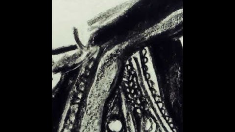 Saurabh Raj Jain /portrait/🤗aka Krishna