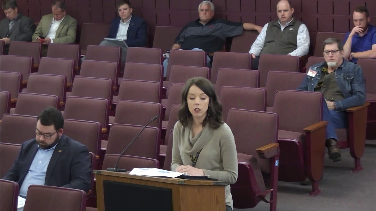 Conway, AR City Council 2/25/20 YouTube